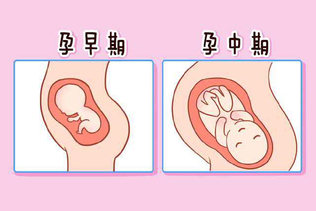 在广州私立医院申请供卵做试管多少钱？