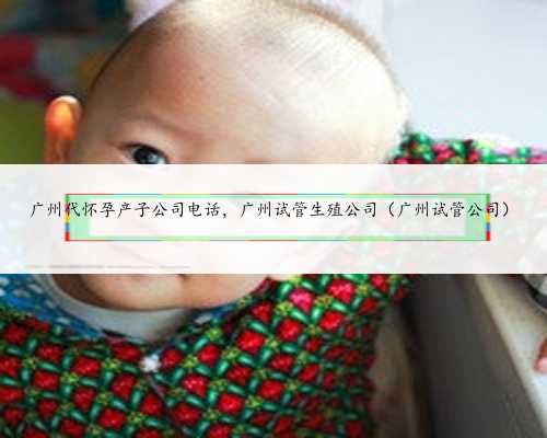 <b>广州代怀孕产子公司电话，广州试管生殖公司（广州试管公司）</b>