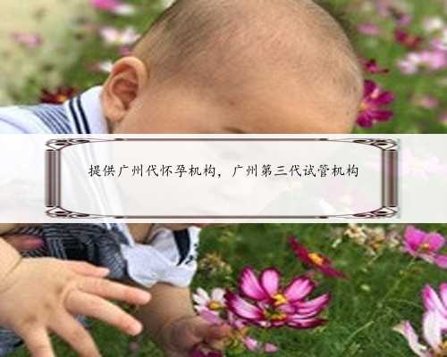 提供广州代怀孕机构，广州第三代试管机构
